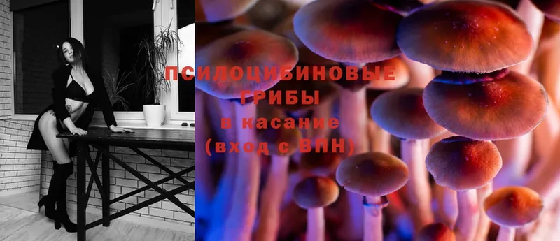 Псилоцибиновые грибы Magic Shrooms  mega ссылка  Шали 